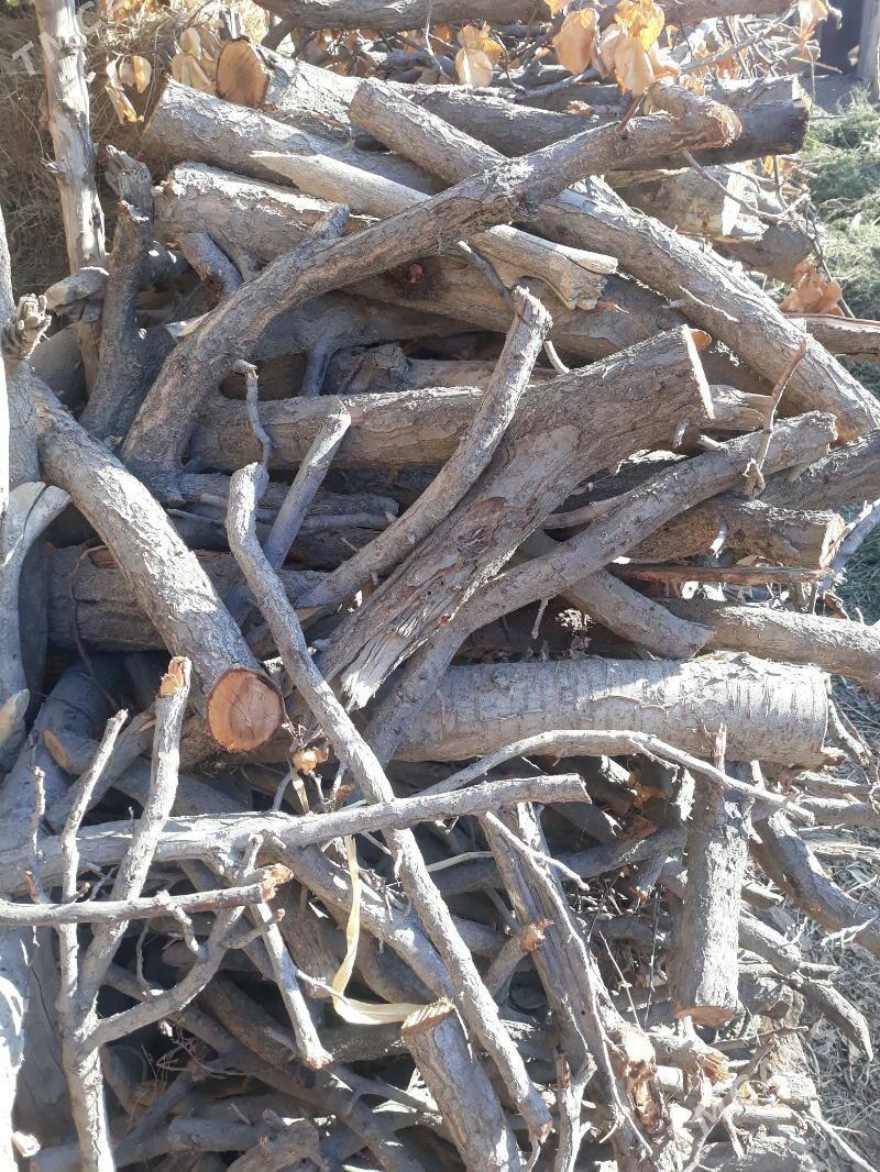 Odun mangal - Saýat - img 2