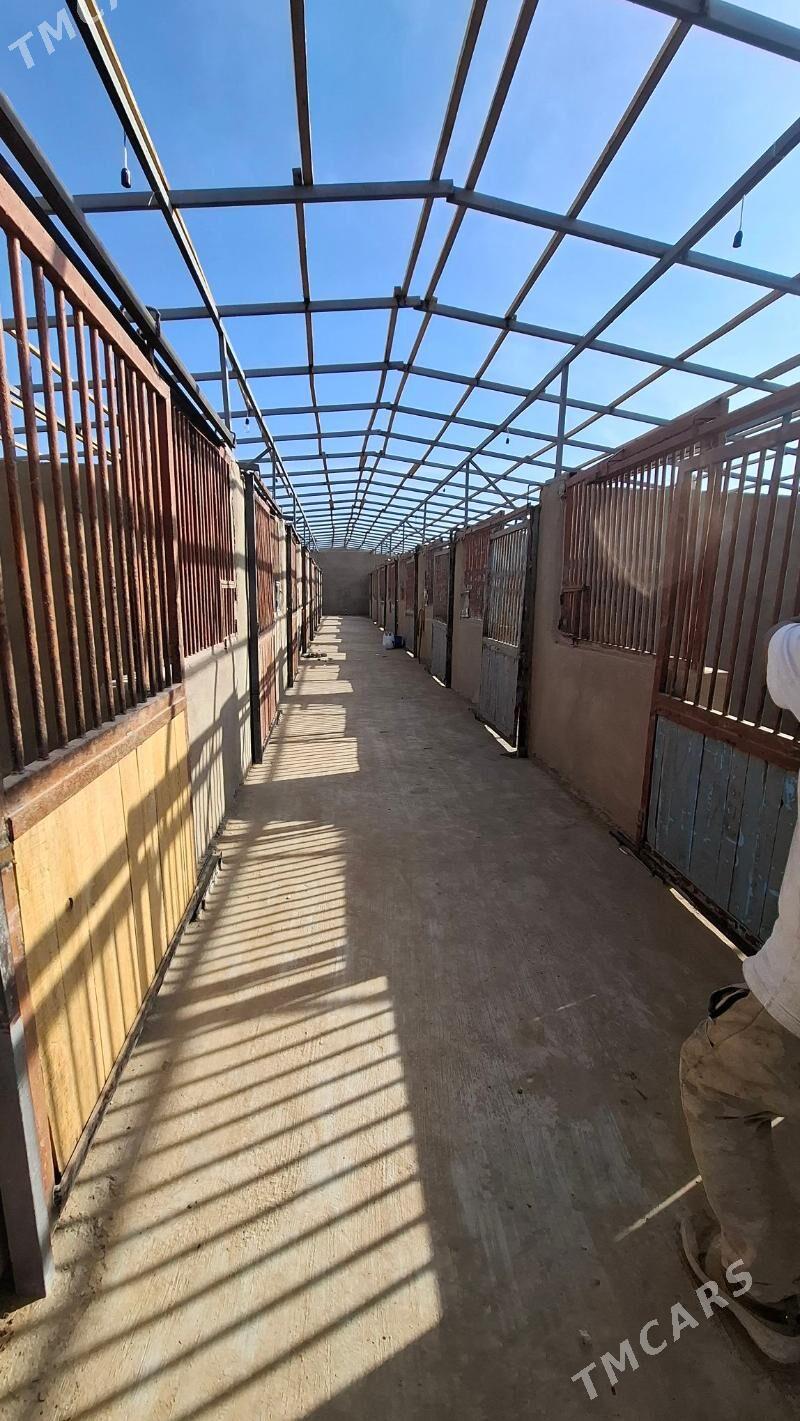 Athana - Ашхабад - img 3