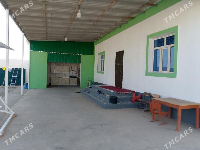 satlyk jay - Sarahs - img 5