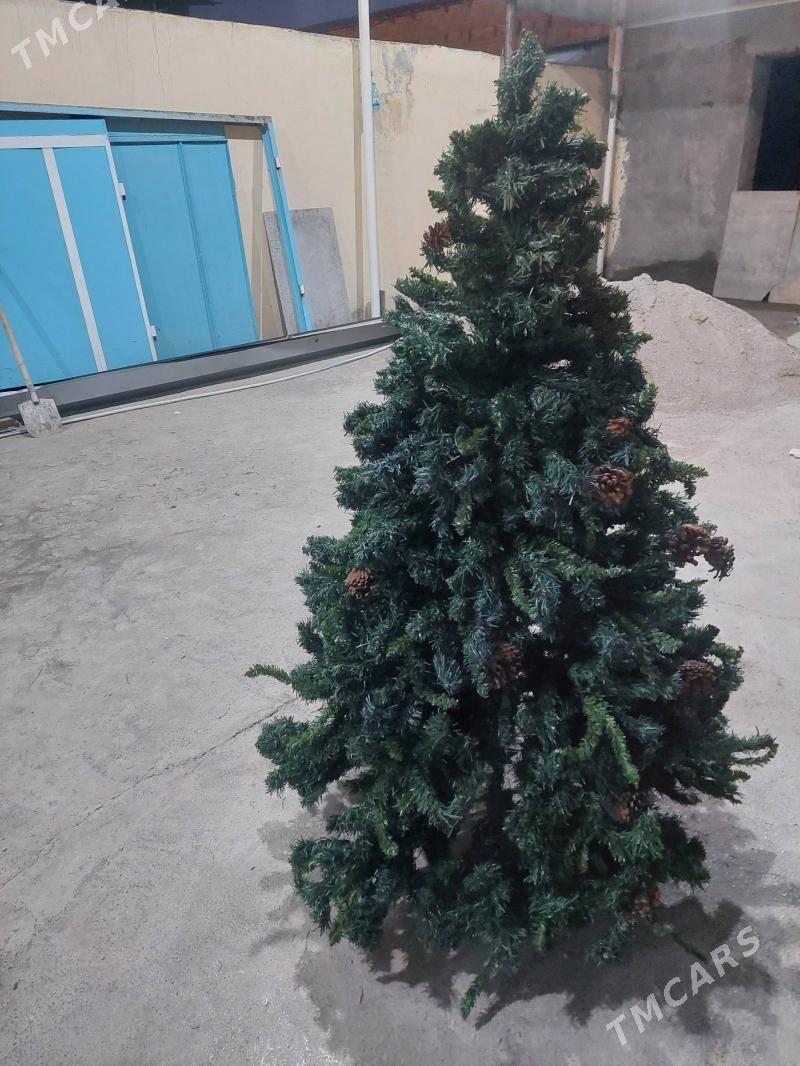 arca yolka - Hitrowka - img 2