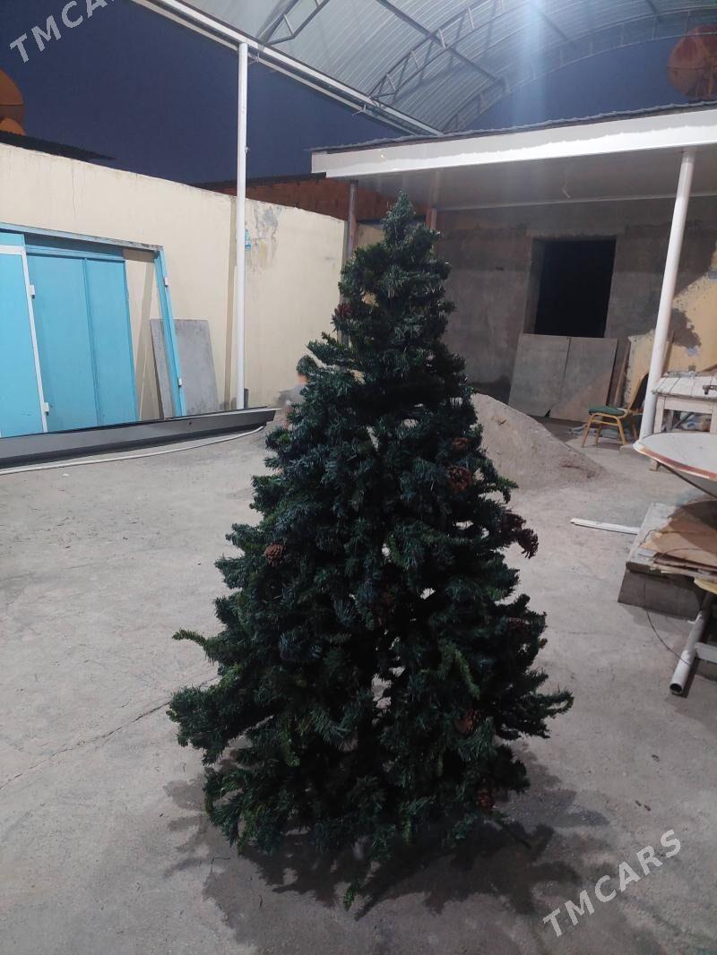 arca yolka - Hitrowka - img 1