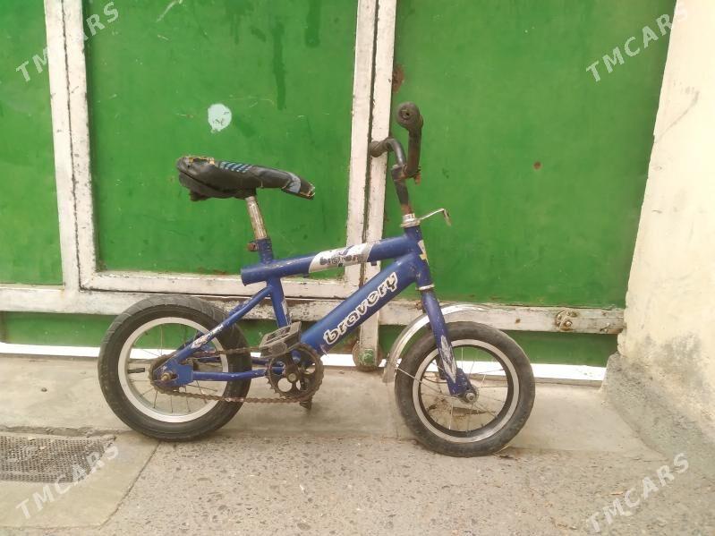 tigir gyssagly kici caga 12lik - Bedew - img 1