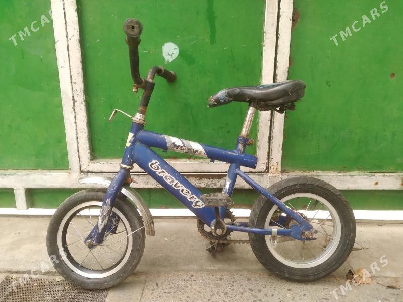 tigir gyssagly kici caga 12lik - Bedew - img 2