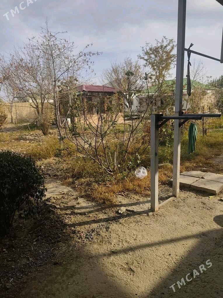 ÂNEW MAGTYMGULY 16 SOTUK - Änew - img 5