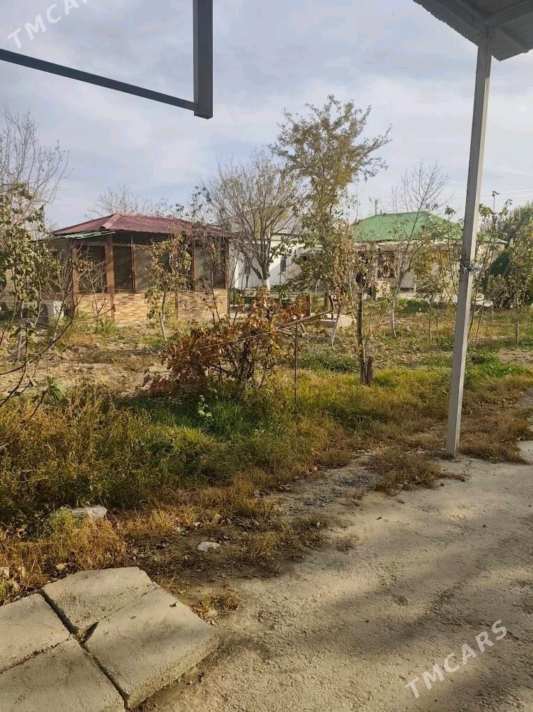 ÂNEW MAGTYMGULY 16 SOTUK - Änew - img 7