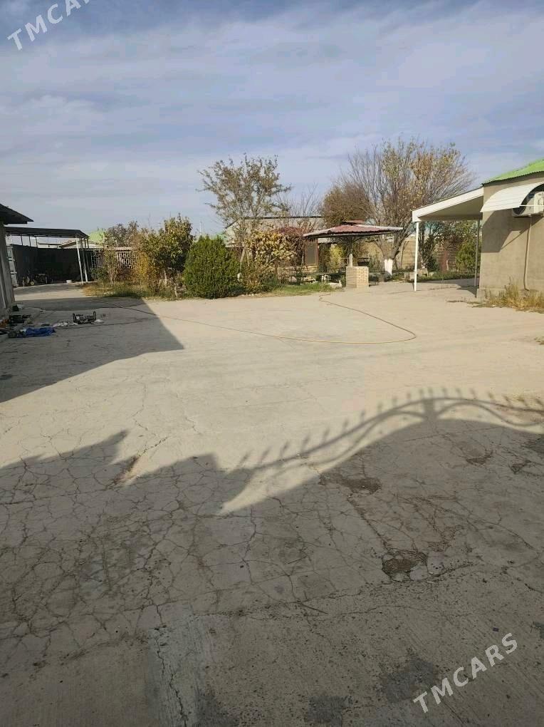 ÂNEW MAGTYMGULY 16 SOTUK - Änew - img 1