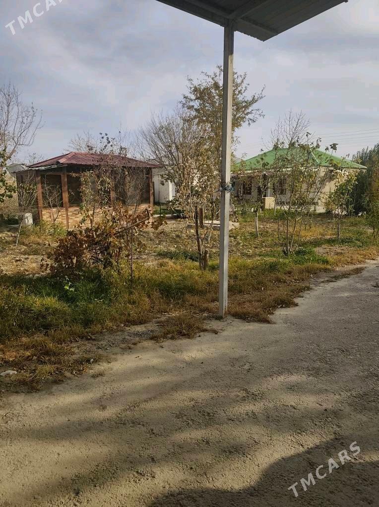 ÂNEW MAGTYMGULY 16 SOTUK - Änew - img 4