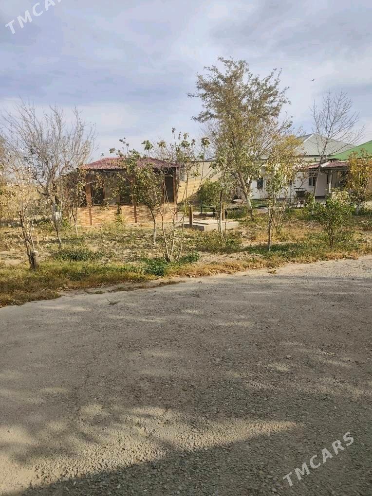 ÂNEW MAGTYMGULY 16 SOTUK - Änew - img 8