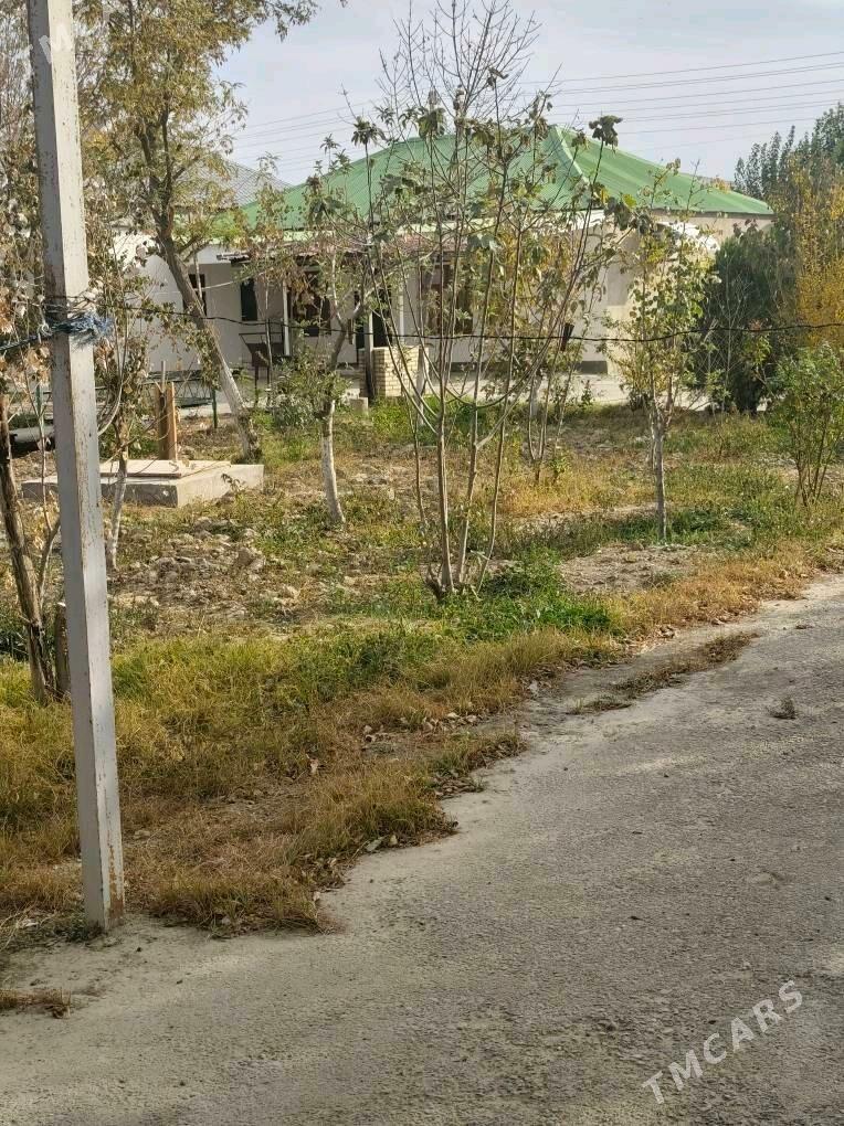 ÂNEW MAGTYMGULY 16 SOTUK - Änew - img 6