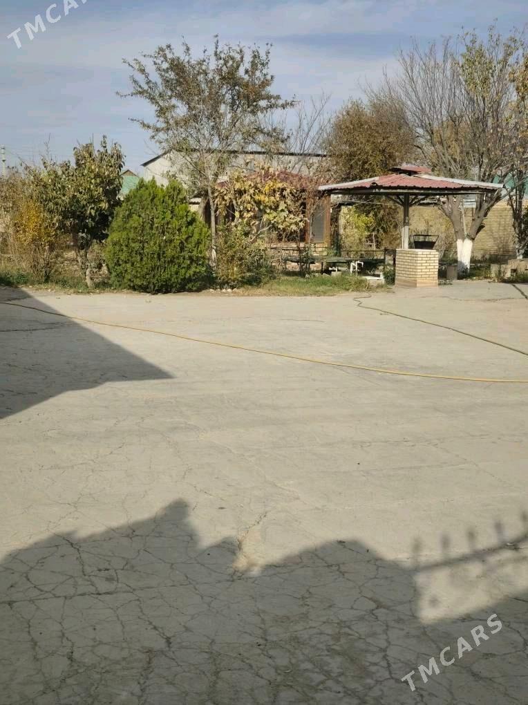 ÂNEW MAGTYMGULY 16 SOTUK - Änew - img 3