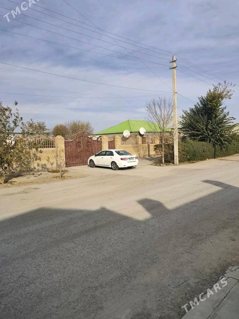 ÂNEW MAGTYMGULY 16 SOTUK - Änew - img 9