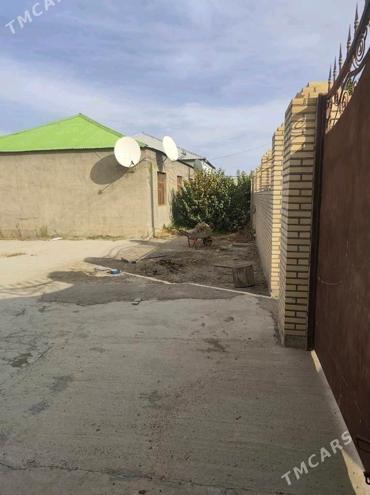 ÂNEW MAGTYMGULY 16 SOTUK - Änew - img 10