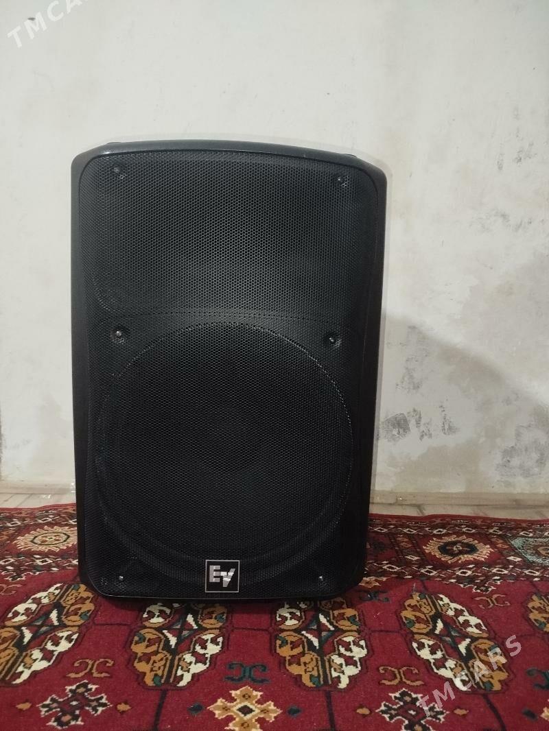 Ev-15 pasyvny pazwuçka - Mary - img 2