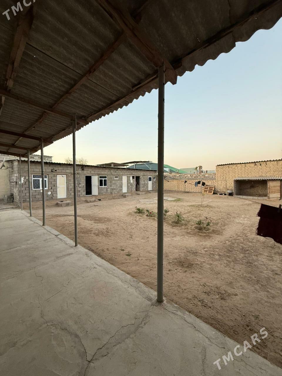 Cogonly eyesinden - Çoganly - img 10