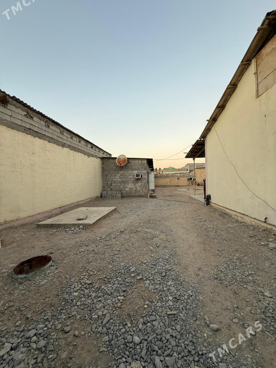 Cogonly eyesinden - Çoganly - img 9