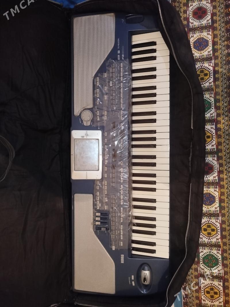 korg PA800 - Mary - img 2