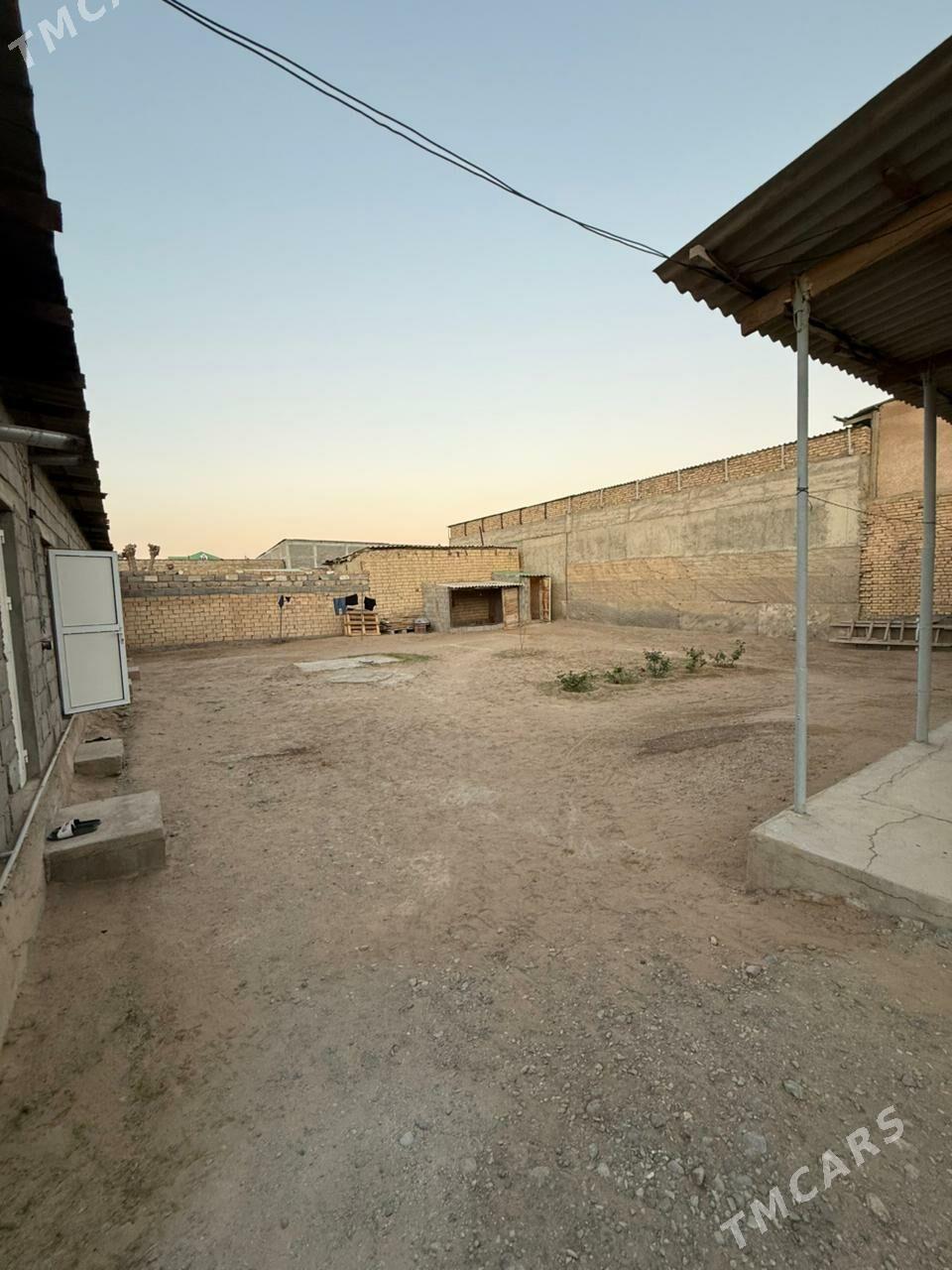 Cogonly eyesinden - Çoganly - img 8