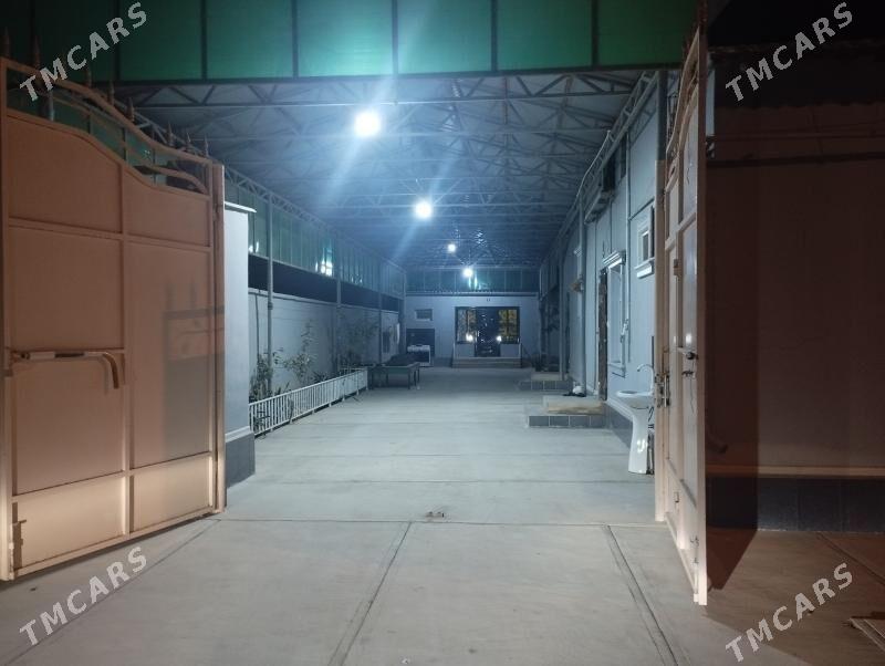 ene mahri koce - Теджен - img 2