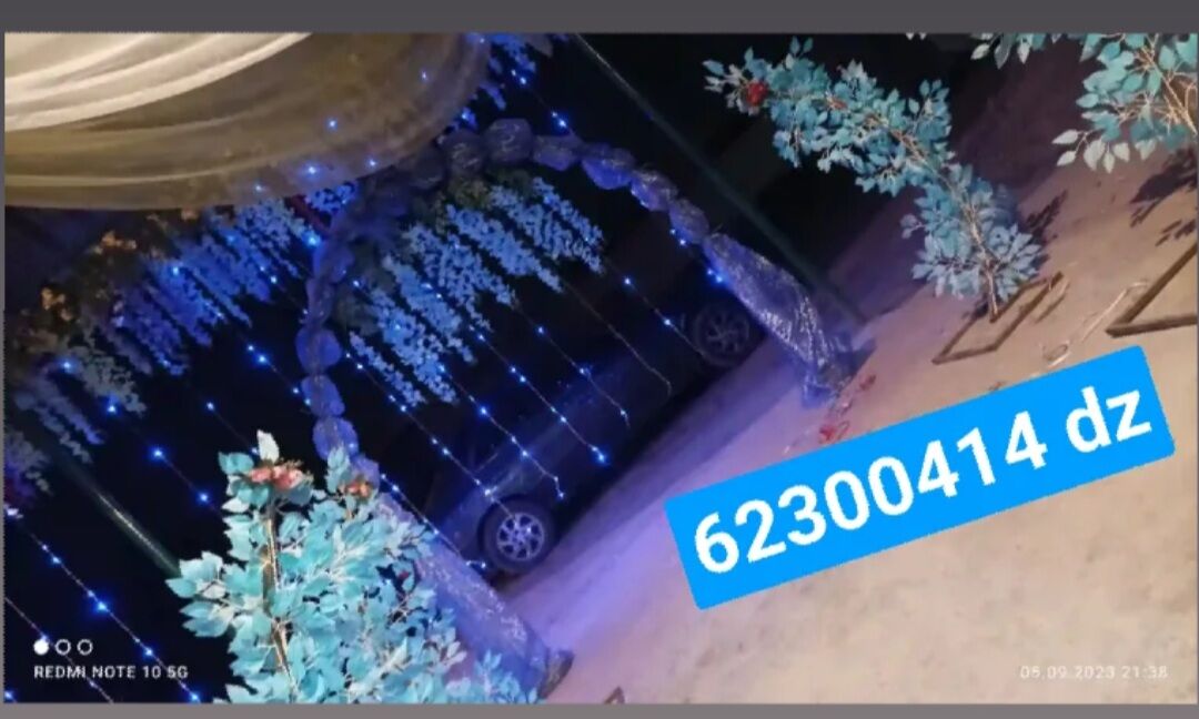 Toy bezegleri - Дашогуз - img 8