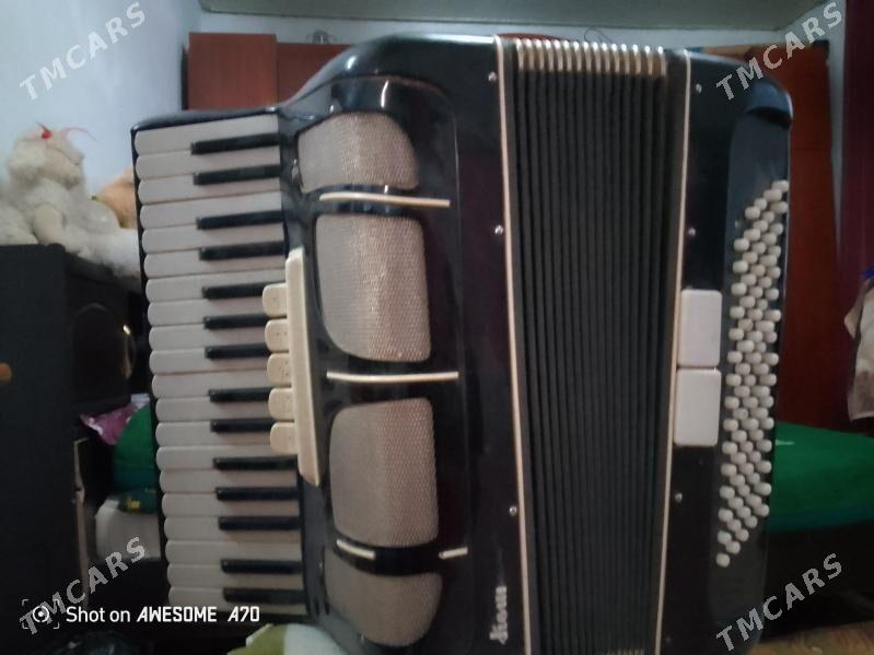 Akkardeon - Saýat - img 3