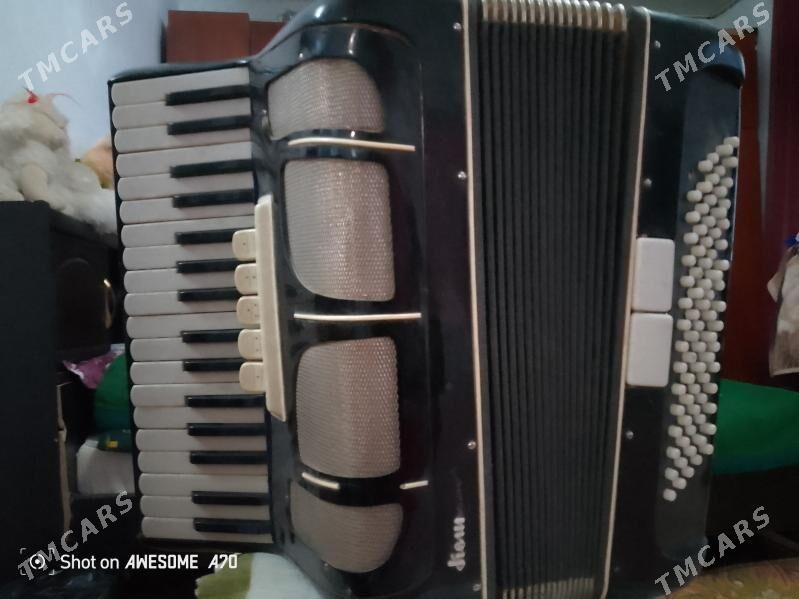 Akkardeon - Saýat - img 4