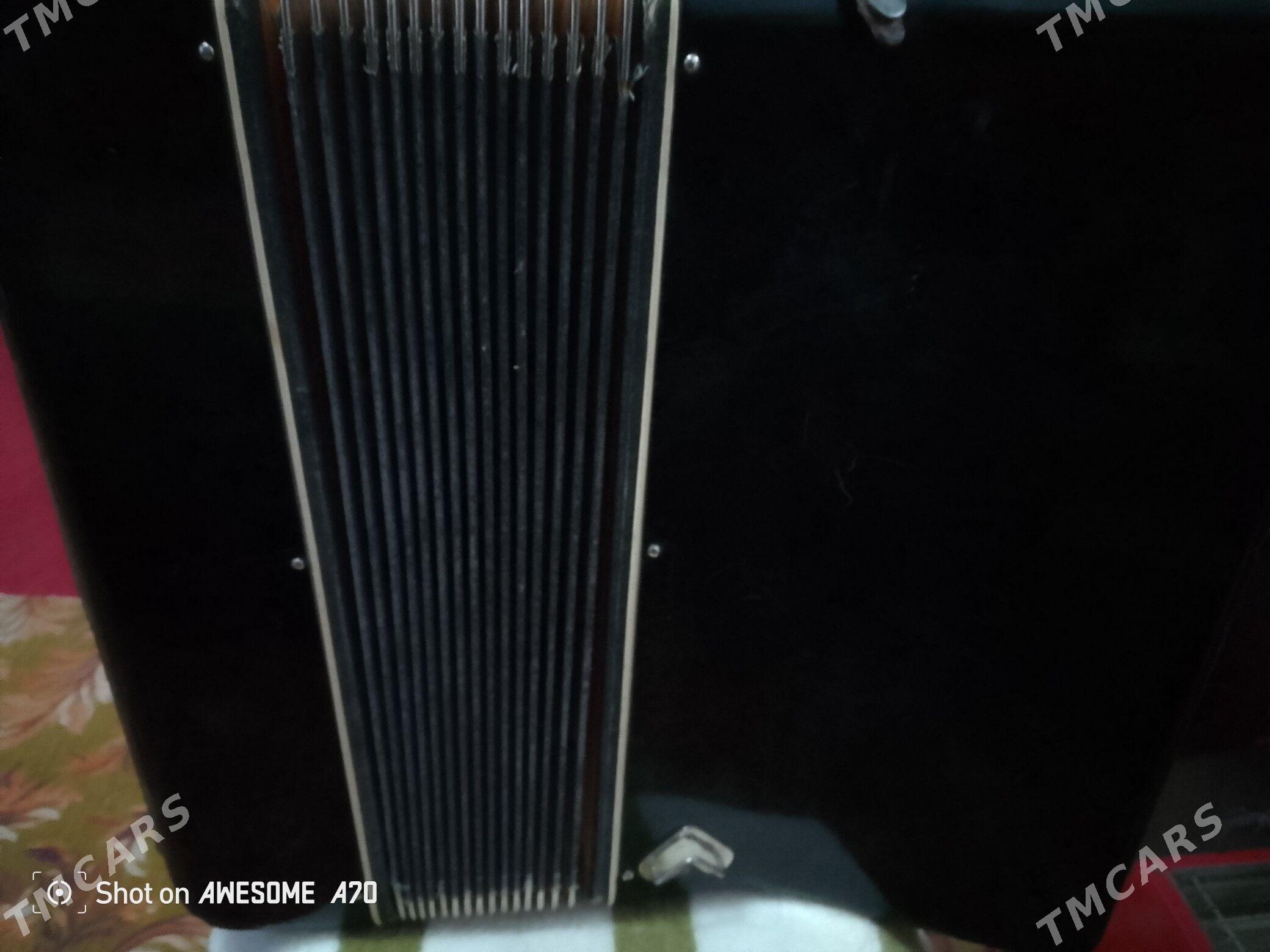 Akkardeon - Saýat - img 1