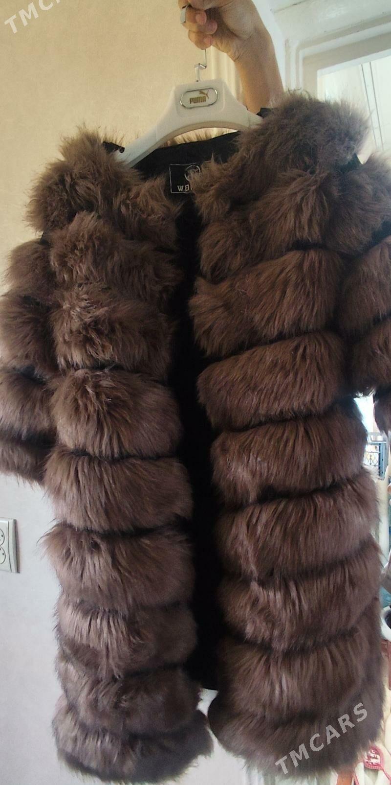 palto pidjak - Türkmenabat - img 8