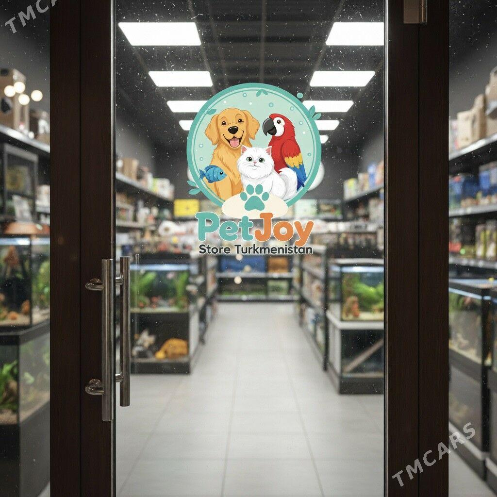 черепашки - Podwoýski köç. (Bitarap Türkmenistan şaýoly) - img 3