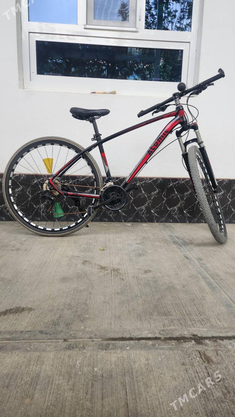 Uly tigir - Änew - img 1