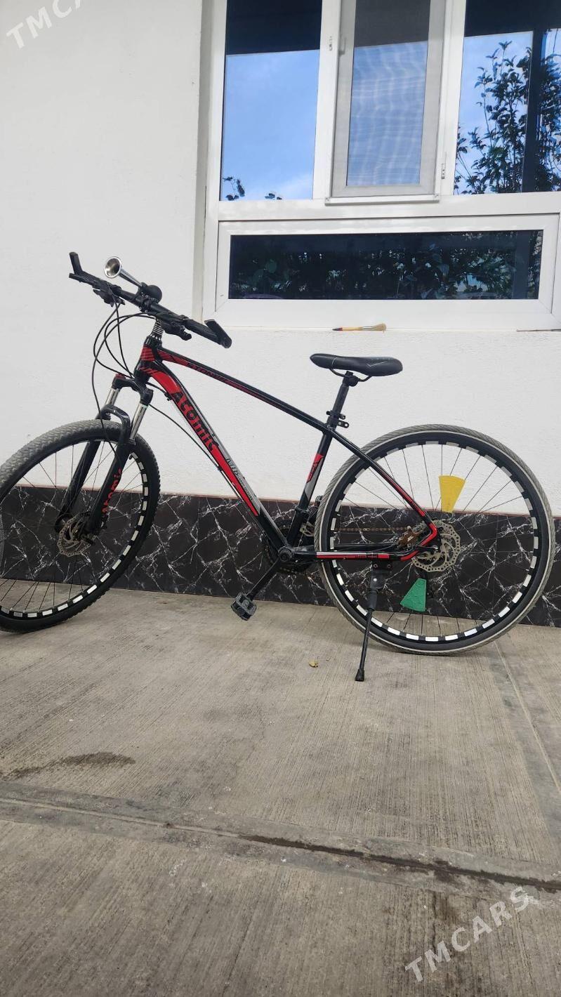 Uly tigir - Änew - img 2