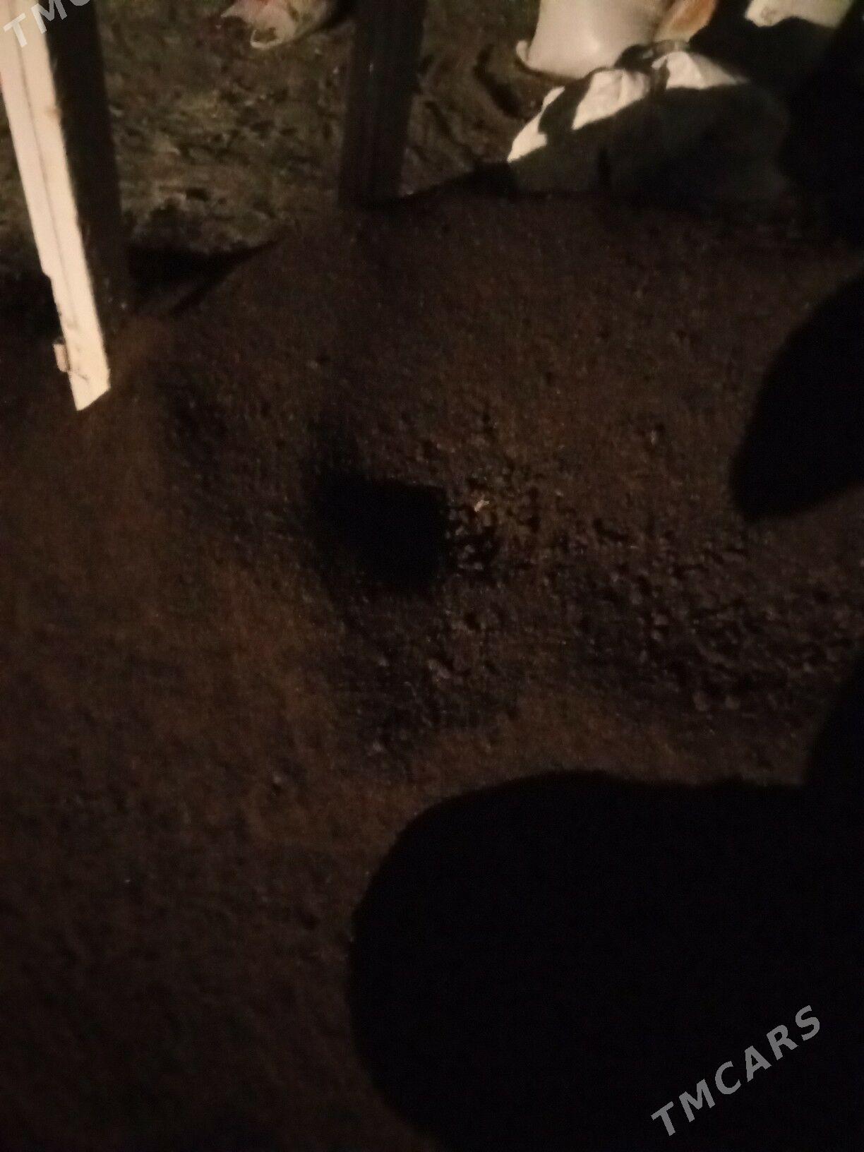 DERS SARY KERPİC MİTİ NULYOPKA - Бедев - img 8