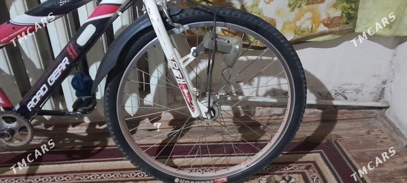 tigir - Гурбансолтан Едже - img 2