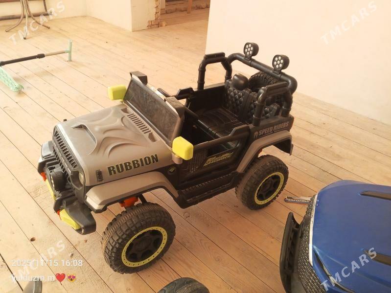 masin - Gurbansoltan Eje - img 4