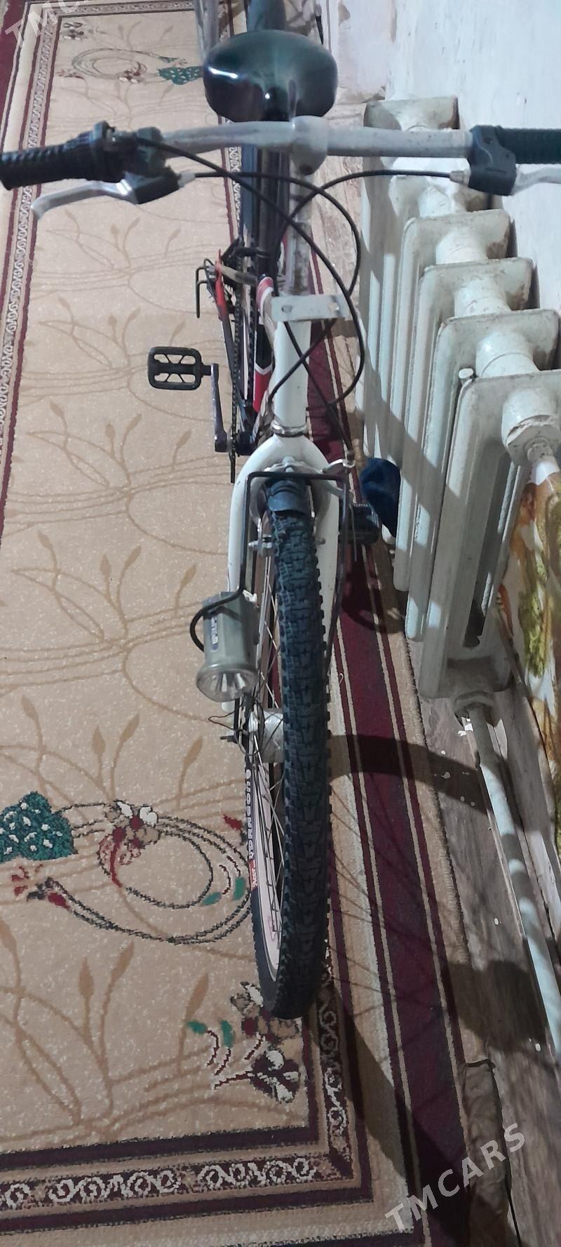 tigir - Гурбансолтан Едже - img 3