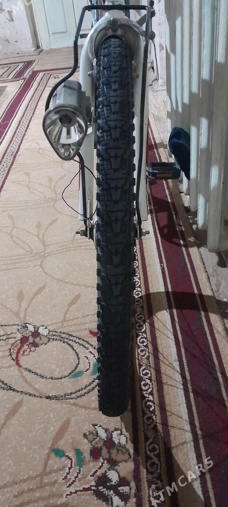 tigir - Гурбансолтан Едже - img 4