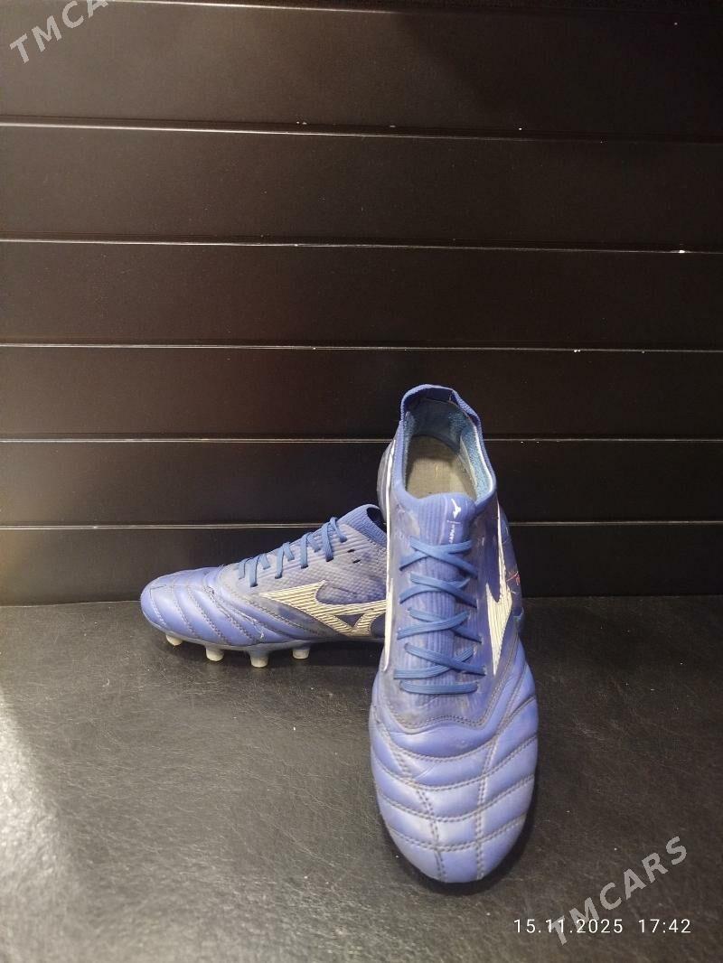 Mizuna butsy, krasofga - Aşgabat - img 2