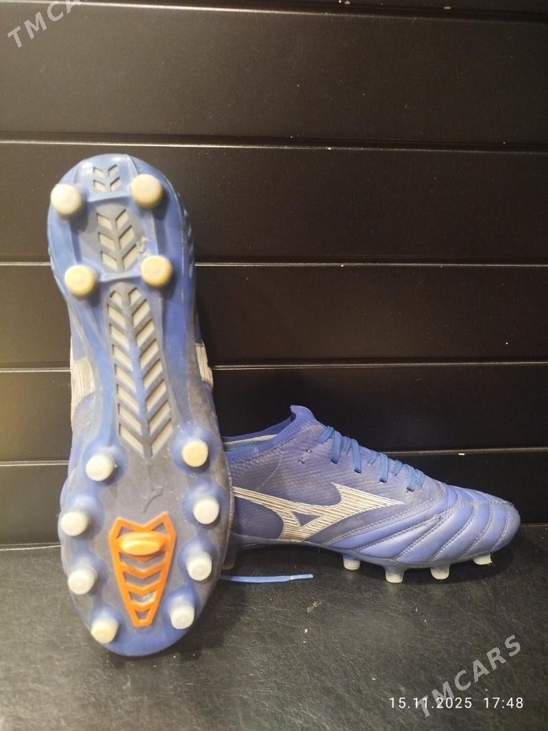 Mizuna butsy, krasofga - Aşgabat - img 4