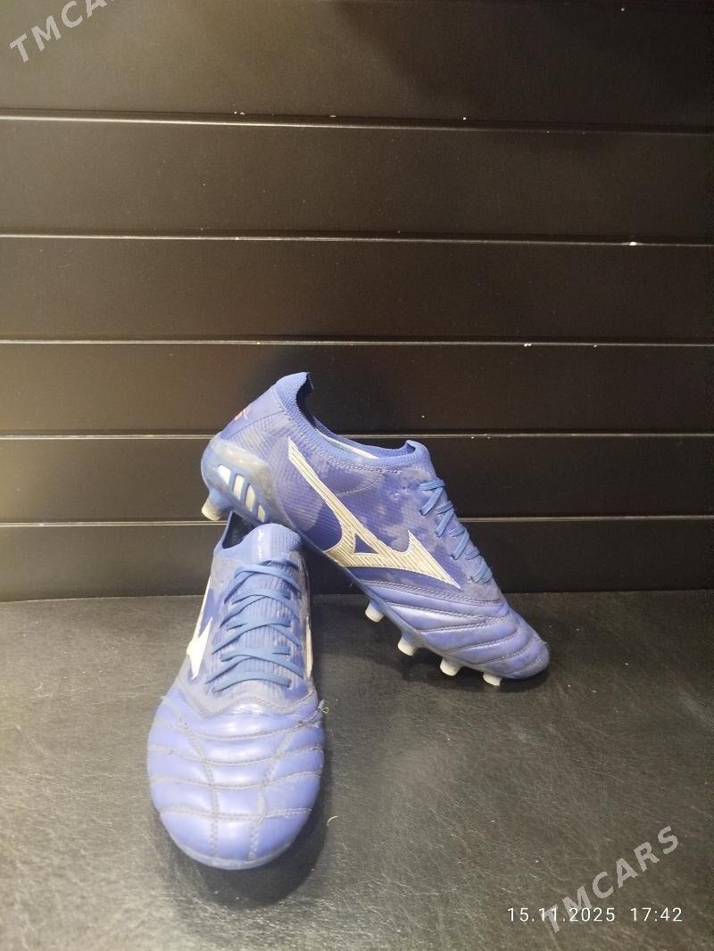 Mizuna butsy, krasofga - Aşgabat - img 1