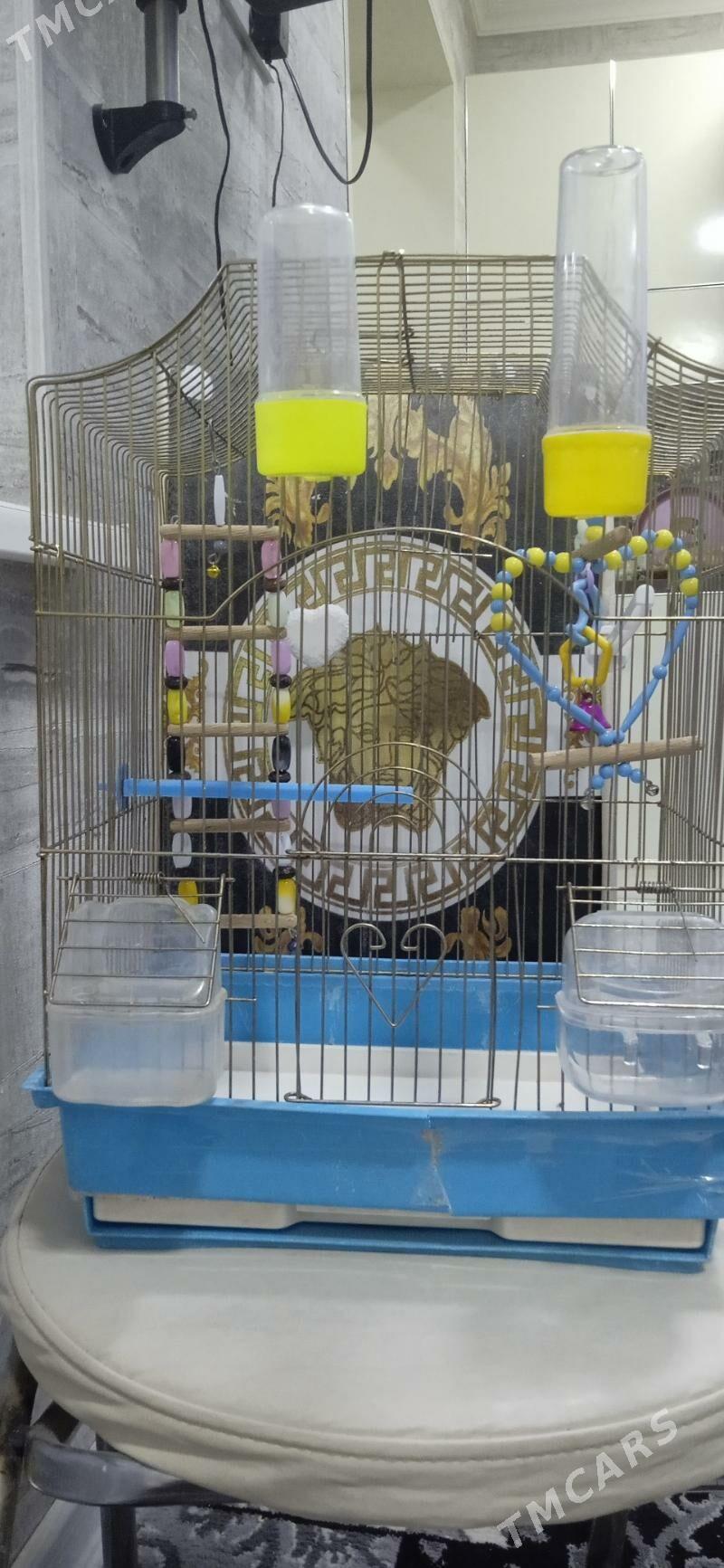 Клетка для попугая - Гаудан "В" - img 1