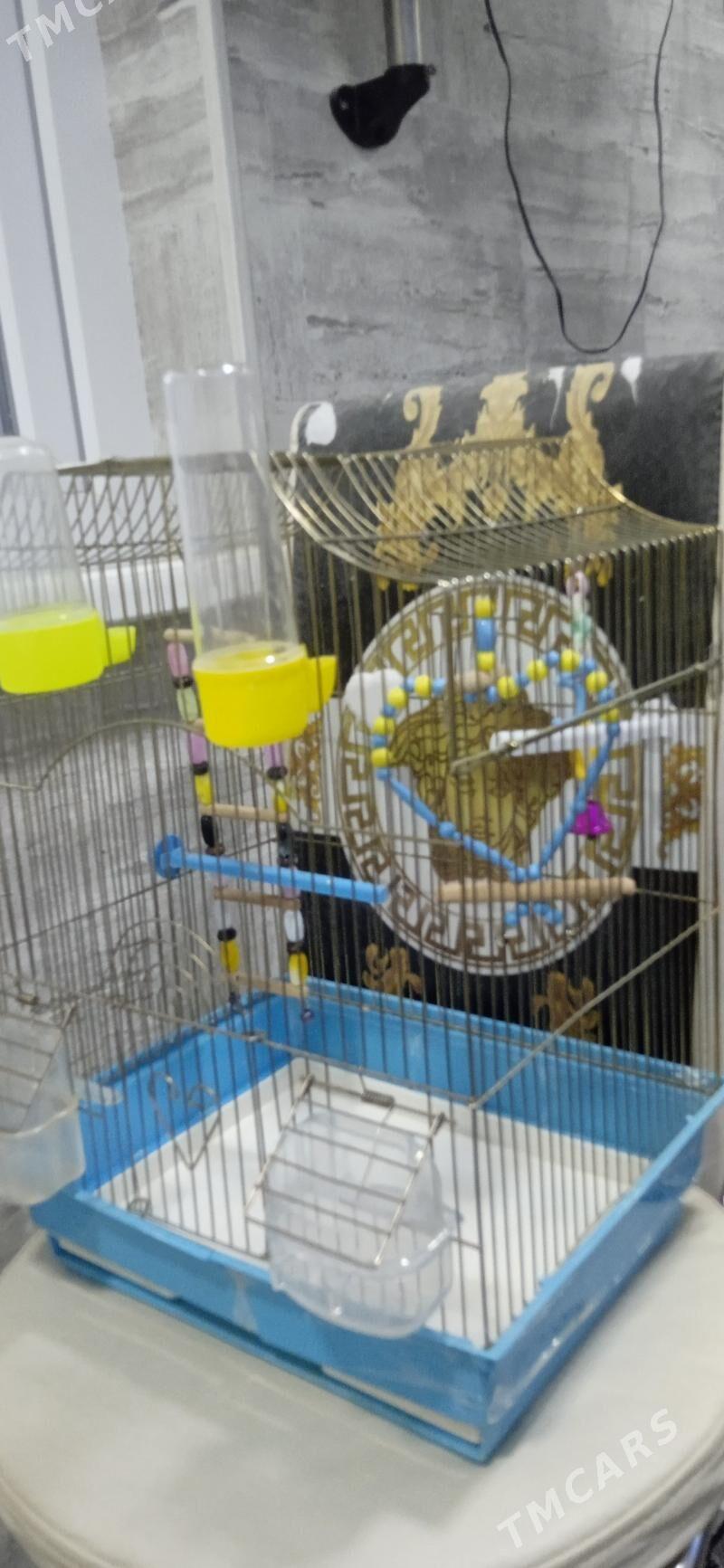 Клетка для попугая - Гаудан "В" - img 2