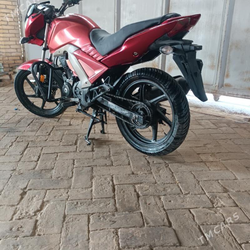 Fekon FK200-14G 2021 - 20 000 TMT - Halaç - img 4