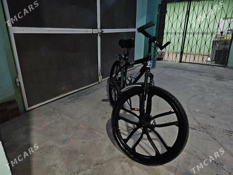 tiger - Кëши - img 2