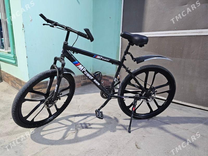 tiger - Кëши - img 3