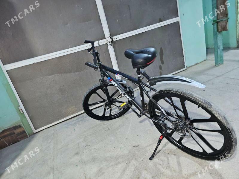 tiger - Кëши - img 1