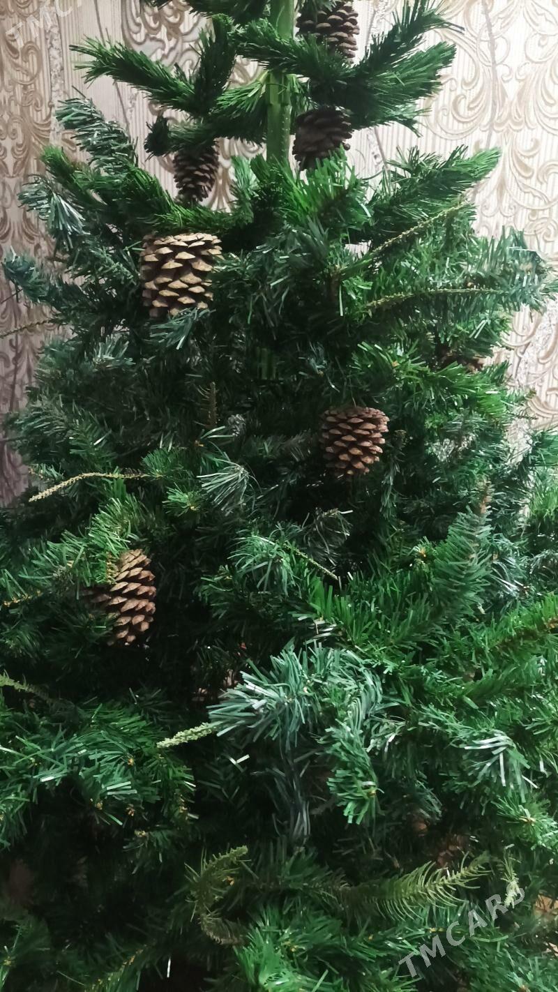 Ёлка 2м20 - Туркменабат - img 2