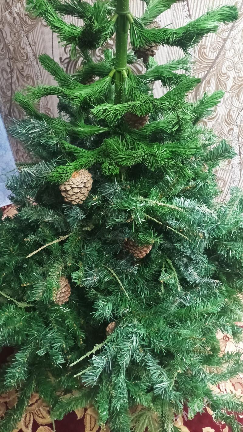 Ёлка 2м20 - Туркменабат - img 4