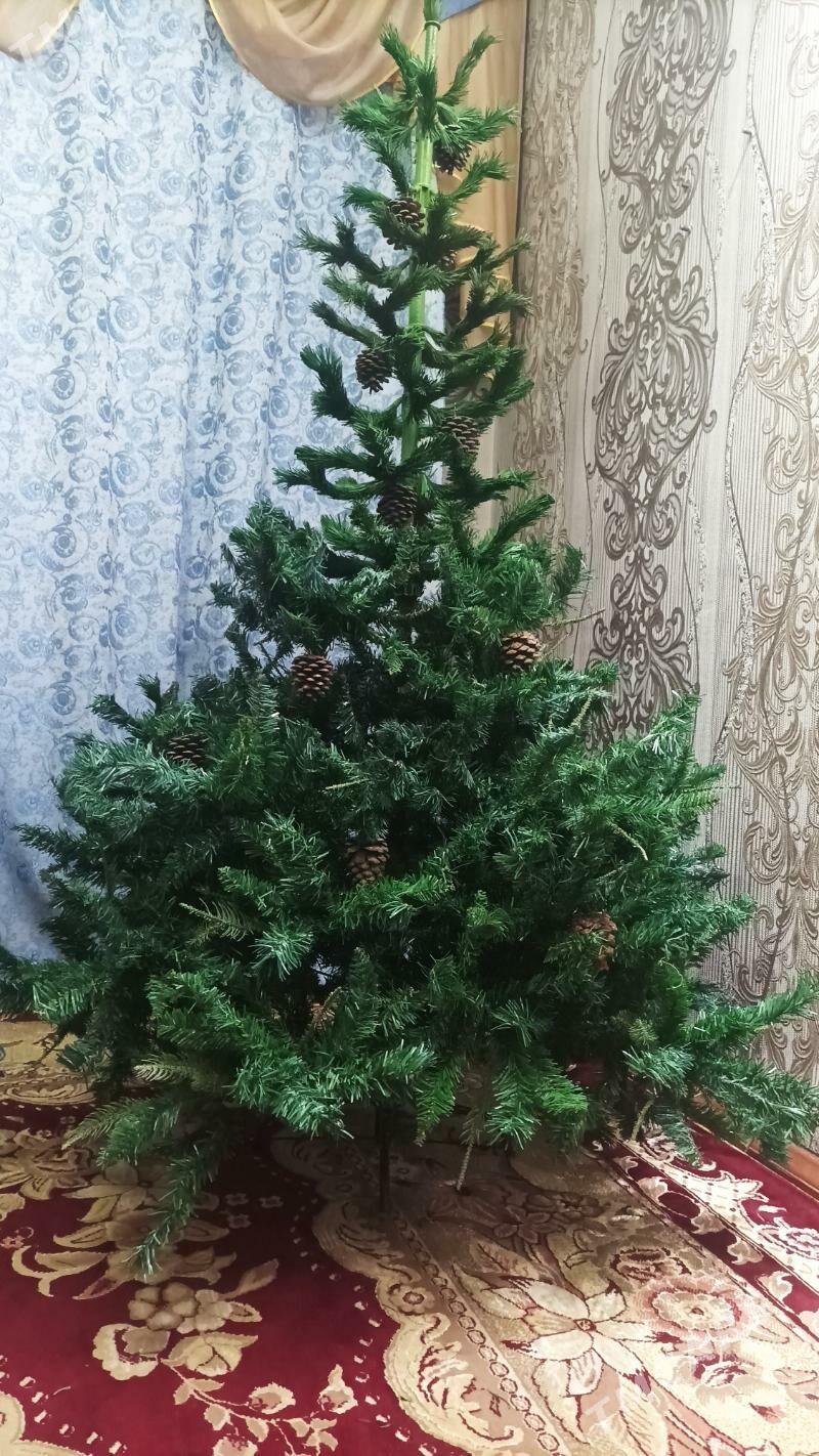Ёлка 2м20 - Туркменабат - img 1