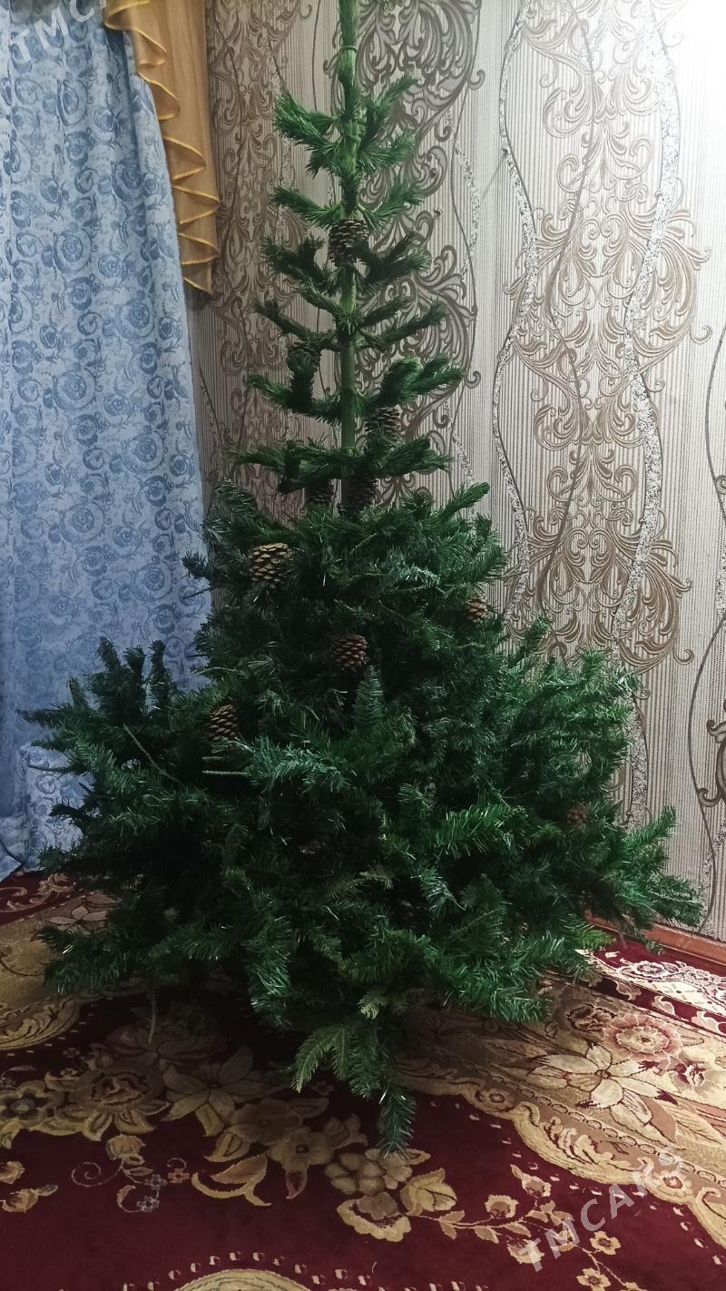 Ёлка 2м20 - Туркменабат - img 3