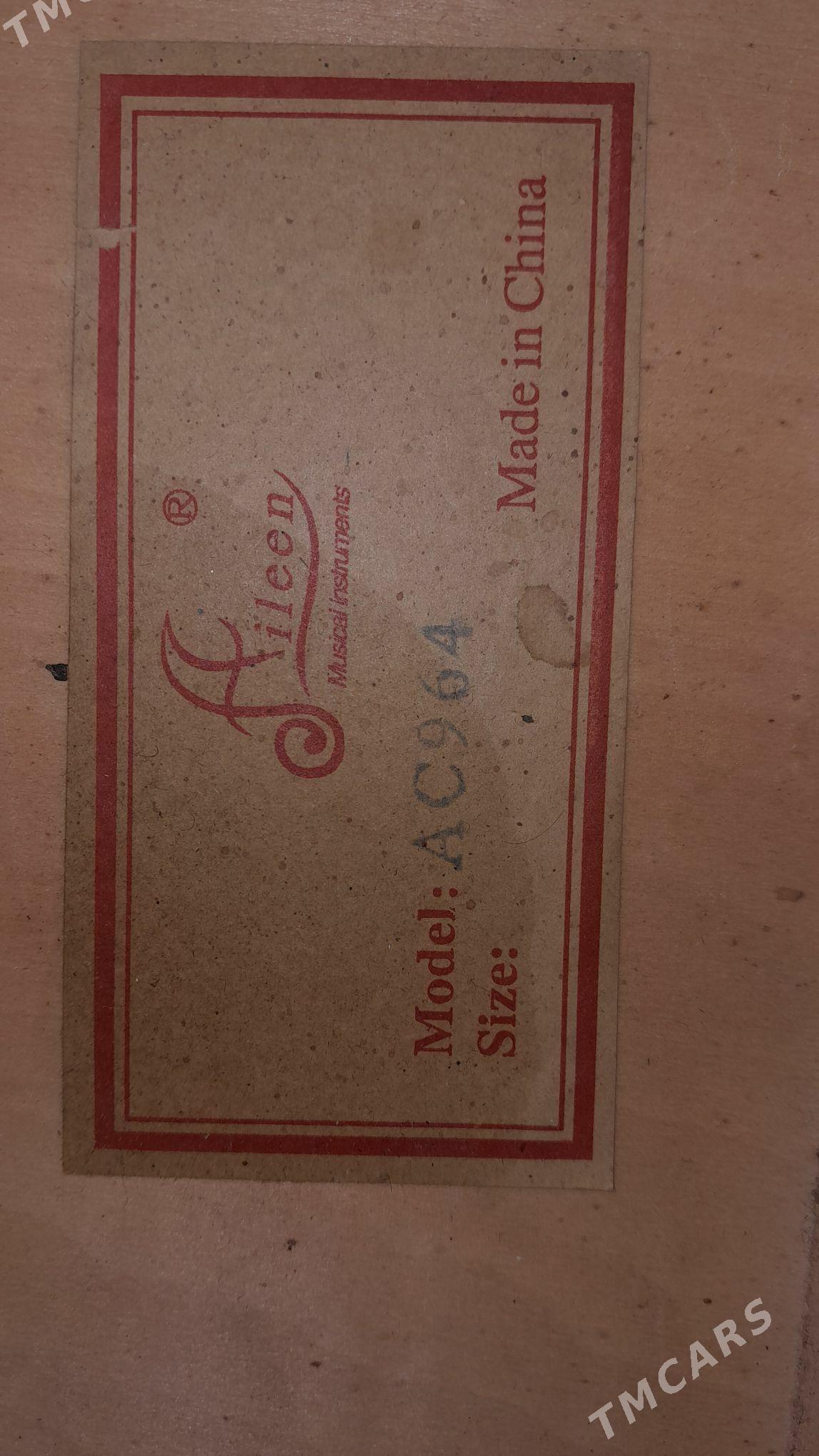 Gitara AiLeen - Görogly (Tagta) - img 3