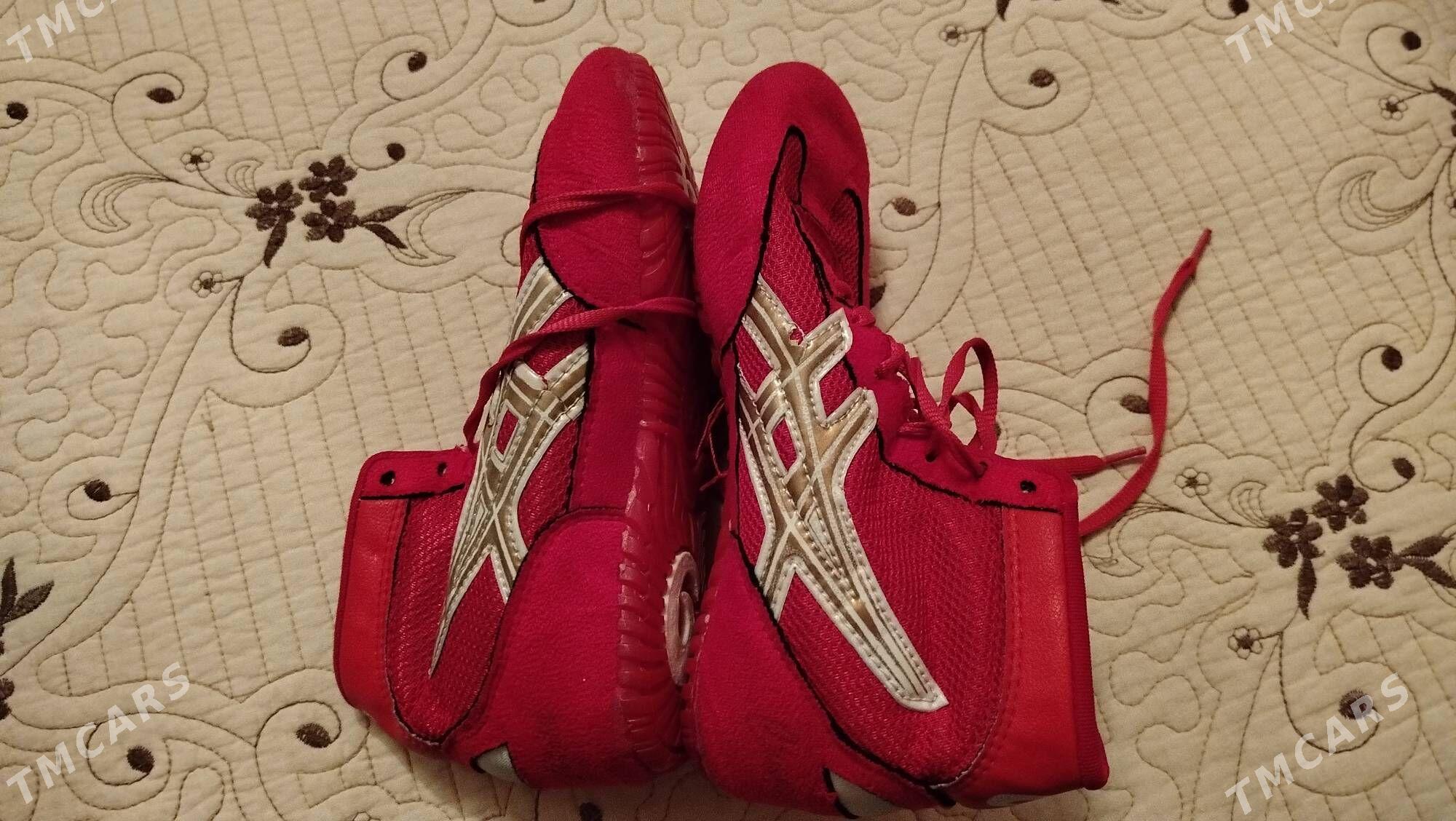 Barsowka Борцовка - Туркменбаши - img 1